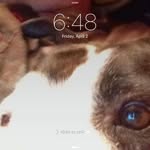 Anthony Holbert - @weston.holbert.1 - Instagram