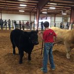 Weston Johnson - @weston9547 - Instagram