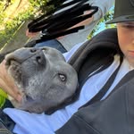 Weston lambert - @hoe_nigga_209 - Instagram