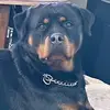 westonmcdaniels - @yusef3277 - TikTok