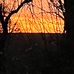 Weston Mitchell - Facebook