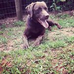 Weston Mitchell - @weston_mitchell01 - Instagram