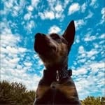 Weston Moses - @wesandscout33 - Instagram