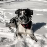 Asher Weston Orr - @ashertheaussie4 - Instagram