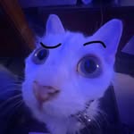 Weston Perkins - @wesperkins24 - Instagram