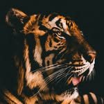 Weston Perkins - @perk_wes24 - Instagram