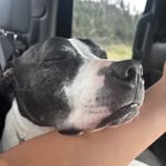Weston - @weston_perry307 - Instagram