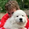 Wes - @westonrapp - TikTok