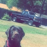 Weston Sanchez - @strokin__7.3 - Instagram