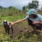 Weston Ward - @westonsward - Instagram