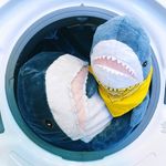 Whatever Shark - @whatever.shark - Instagram