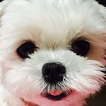 Clayton Diaz - @white_bean_ - Instagram