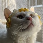 whitebean - @white__bean_ - Instagram