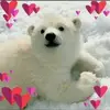 🌻Bear white 🐻‍❄️🥥 - @bearwhite76 - TikTok