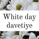 Whitedaydavetiye - @whitedaydavetiiye - Instagram