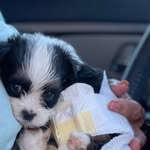 Cream - @whitediazreyes - Instagram
