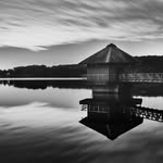 Peter Whitelee - @peter.whitelee - Instagram