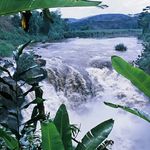 Ptoject Africa. White Nile. - @whitenileadventure - Instagram