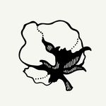 White Nile Cotton - @whitenilecotton - Instagram