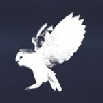 White Owl - @whiteowl.records - Instagram