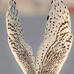 White Owl - Facebook