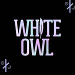 White Owl - @whiteowlmx - Instagram