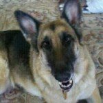 Kelley Whitley Brown - @maya2008nc - Instagram