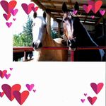 Laurie Whitley Jackson - @laurie.jackson.3998 - Instagram