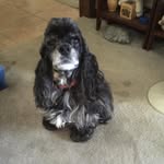 Sharon Whitman Smith - @rmsmith467 - Instagram