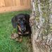 Whitney Atkinson - Facebook