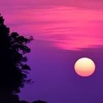 Whitney Atkinson - @whitney.atkinson.925 - Instagram