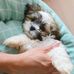 Whitney Barth  - Facebook