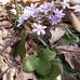Whitney Bay Cottage - Facebook