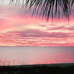 Pat Kaufman - @whitney_beachfront_bliss - Instagram