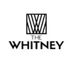 The Whitney West Palm Beach - @thewhitneywpb - TikTok