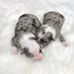 Whitney Marie Benge - Facebook