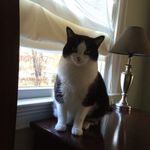 Whitney Bloom Fraser - @venti210 - Instagram