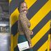 Whitney Brewster - Facebook
