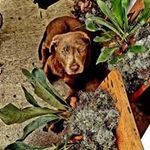 Whitney Bruce - @whitney.bruce.7169 - Instagram
