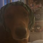 Whitney - @whitneycaseclosed - Instagram