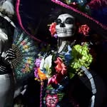 Whitney Chavez - @lacatrina_lularoeboutique - Instagram