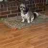 whitneycheek1 - @whitney.cheek - TikTok