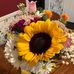 Whitney Cornett - Facebook