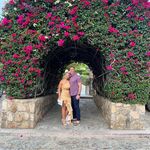Whitney Crisp Cameron - @whitneycrispcameron - Instagram