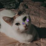 Whitney Nicole Ervin - @_thequeenofnaps_ - Instagram