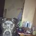 Haley Whitley - Facebook