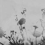 Whitney Hubbard - @blue.crayon.designs - Instagram