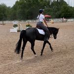 Whitney Hurst - @whits.tailbags - Instagram