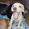 WhitneyLandry - @hughsssnnms - TikTok