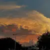 WhitneyMorrow - @declapzp1dp - TikTok